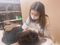 -本小姐美学·半永久纹眉野生眉