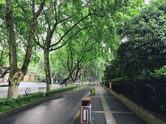 -胖子馄饨坊