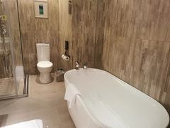 -常州环球恐龙城维景国际大酒店