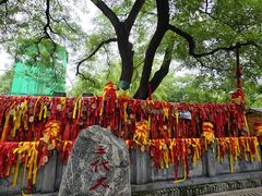 -大槐树寻根祭祖园
