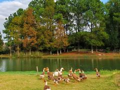 -白塘生态植物园