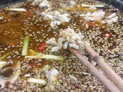 -重庆乌鱼庄·龙滋鲜(青羊大道店)