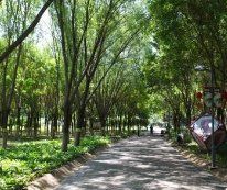 -黄村公园