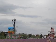 -荷兰花海