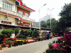 iphone_upload_pic-溪岸路花鸟市场