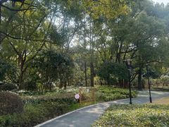 -徐家汇源景区-衡山公园