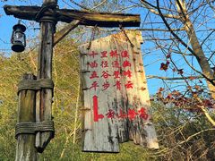 -雁南飞茶田景区