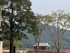 -顺峰山公园
