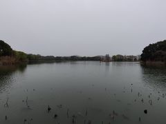 -上海市保健医疗中心