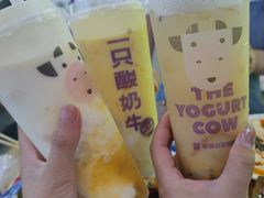 -一只酸奶牛(八一路店)