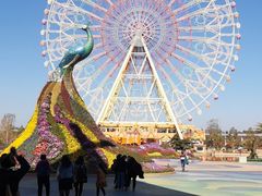 -七彩云南欢乐世界