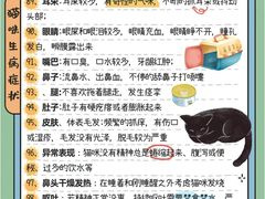 -荔康动物医院(康王北路店)