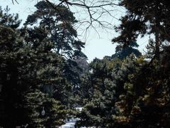 -沈阳市东陵公园