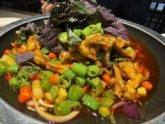 -新渝城·川菜·火锅(区庄店)