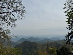 -莫干山风景区