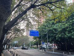 -四海公园(南山区)