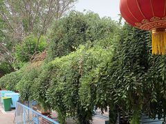 -有喜胶东小馆(太申祥和店)