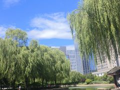 -团结湖公园