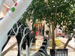 -同远QQBABY亲子摄影(北京路店)