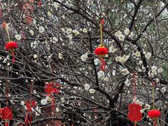 -钱王祠
