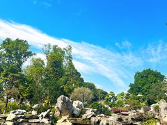 -东莞植物园