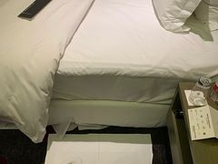 -南京禄口机场雅高铂尔曼大酒店