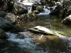 -少华山国家森林公园