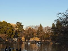 -井之头恩赐公园