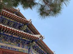-中国唐苑