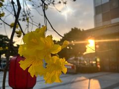 -飞翔公园(地铁站)