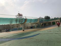 -秦皇岛乐岛海洋王国