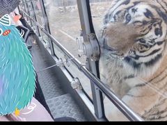 -西安秦岭野生动物园