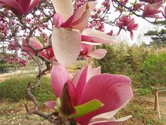 -国家植物园南园