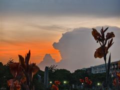 -海事大学图书馆(临港校区)