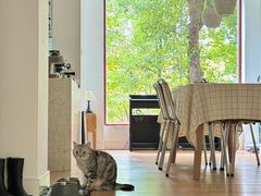 -有肆年整体软装设计 窗帘墙布硬包挂画(红星美凯龙双楠店)