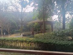 -成都安仁福朋喜来登酒店