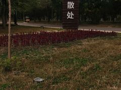 -武清南湖绿博园