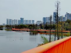 -桂溪生态公园