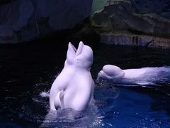 -海合安武汉极地海洋公园