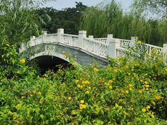-南翠屏公园