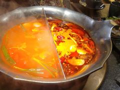 台式麻辣花胶鸡鸳鸯锅-湊湊火锅·茶憩(世博大道店)