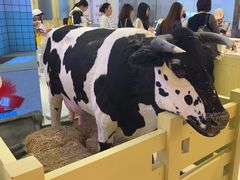 -红星前进面包牛奶公司(君太店)