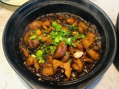 红烧大肠煲-阿龙酒煲(海宁新苑路店)