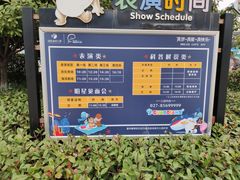 -海合安武汉极地海洋公园
