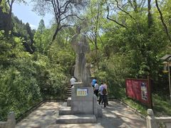 -原山国家森林公园