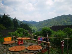 -南靖田螺坑土楼群景区