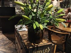 -Apollo·西班牙小酒馆(安福路店)