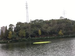 -重庆彩云湖湿地公园