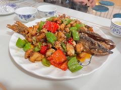 -煲来饱去冷水鱼