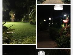-卷心菜和避孕套餐厅(Pattaya)